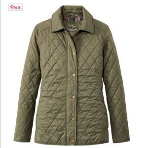 NWT LLB Quilted Riding Jacket